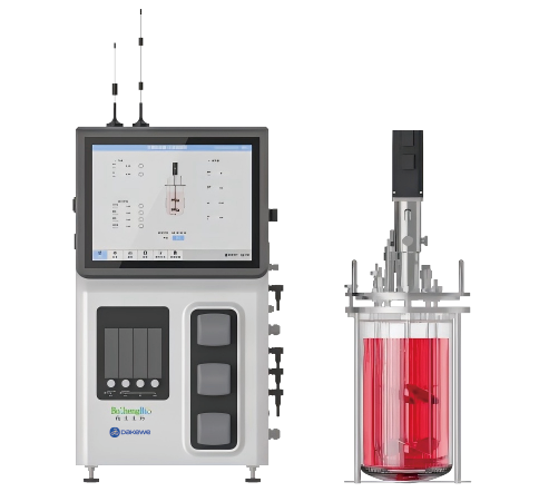 請?zhí)顚憳?biāo)題
